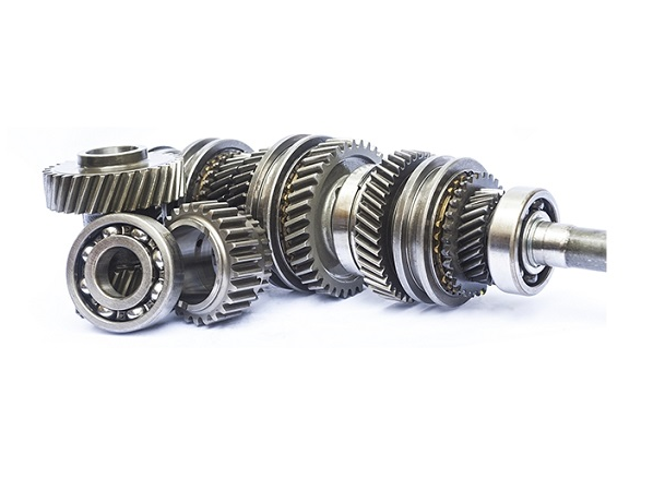 20210319 745fcebfd8144b5d0b2b002ef1e9cf1b